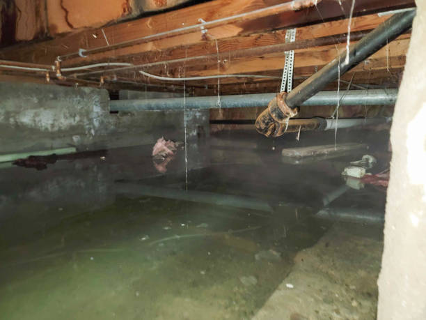 Best Water damage cleanup near me  in Oakdale, NY