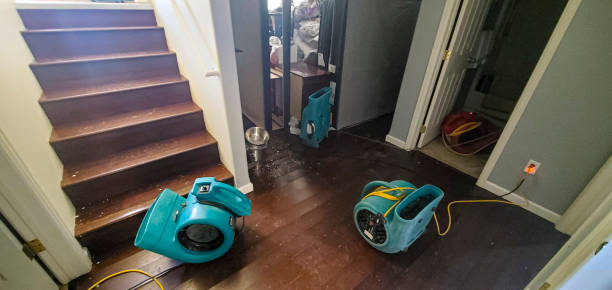 Best Mold removal after water damage  in Oakdale, NY