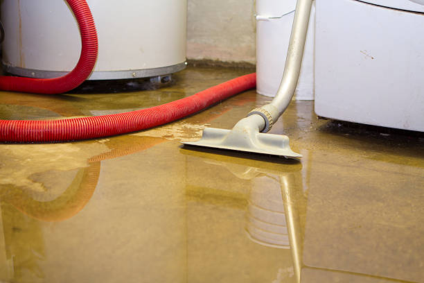 Best Water damage contractors near me  in Oakdale, NY