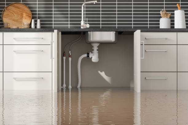 Best Carpet water damage restoration  in Oakdale, NY