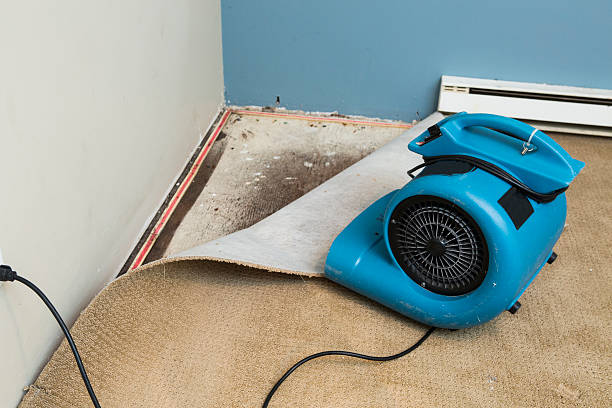 Best 24-hour water damage restoration  in Oakdale, NY
